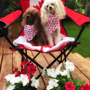 Fundraising Page: Jennifer Reichert